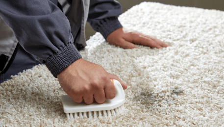 Professional Rug Cleaning Gardenvale