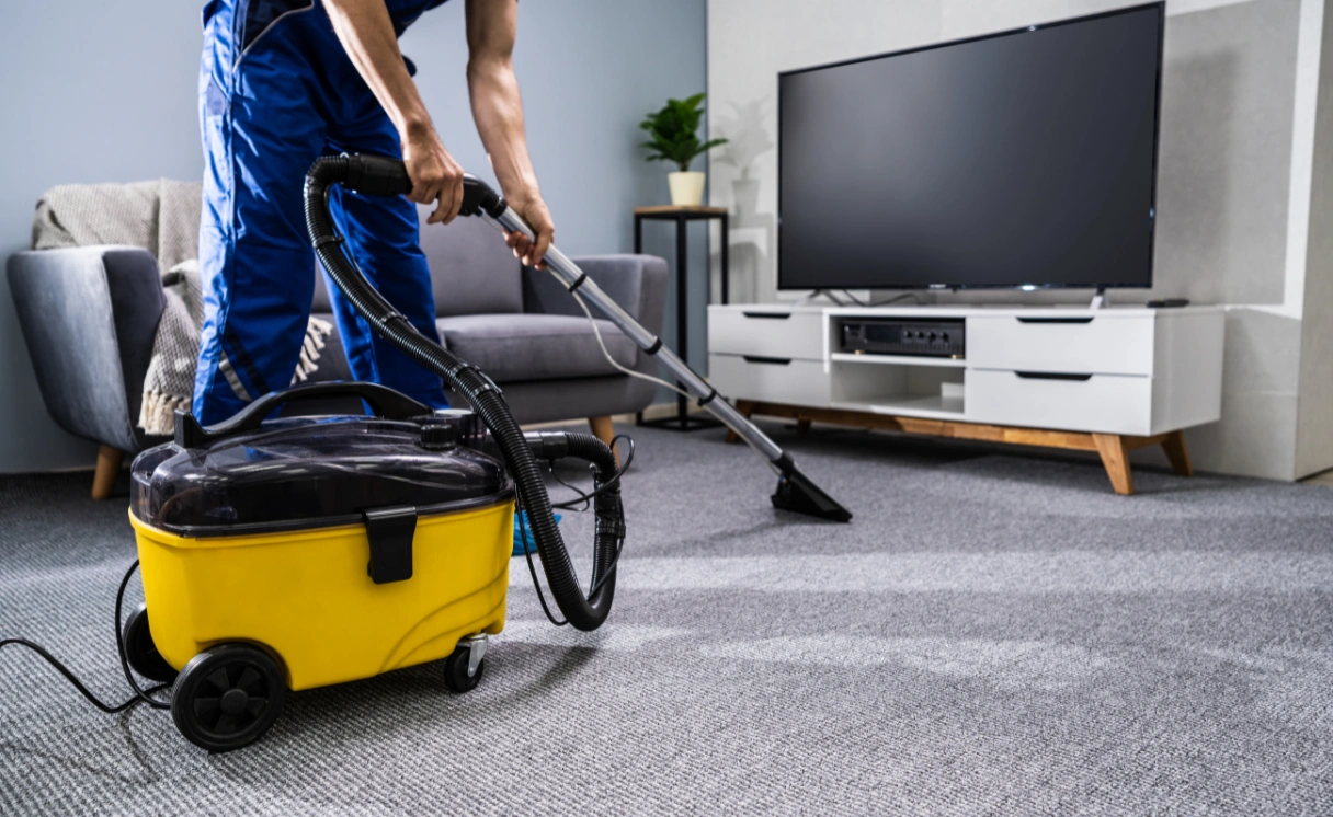 Extract Rug Cleaning Gardenvale Contact Office